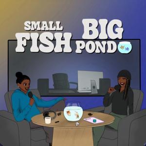 Small Fish Big Pond