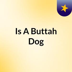 Is A Buttah Dog