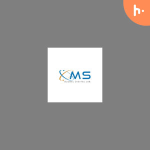 MS Global Digital Lab
