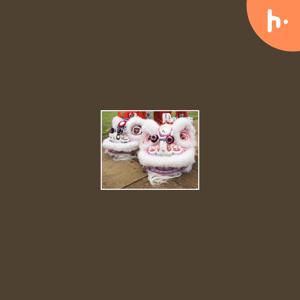 Lion Dance Costume