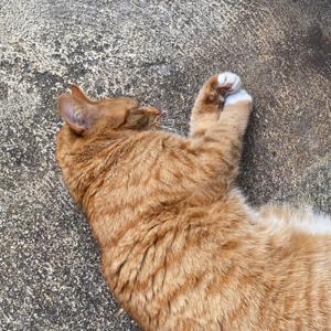 Chainsaw/youre welcome reprise