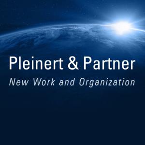 New Work and Organization