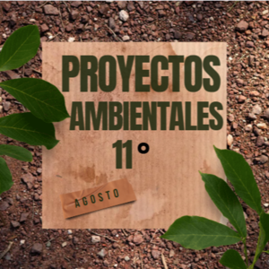PROYECTOS AMBIENTALES - SAMUEL GUTIERREZ
