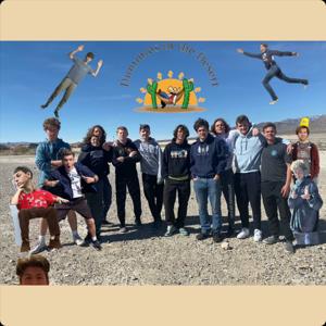 Dummies in the Desert