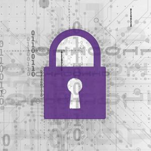 Building Security In - The Next Decade