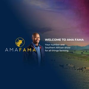 Ama Fama