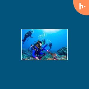 Scuba Diving in Kalpitiya