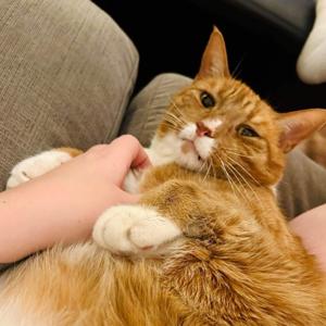 Shipyard pumpkinhead