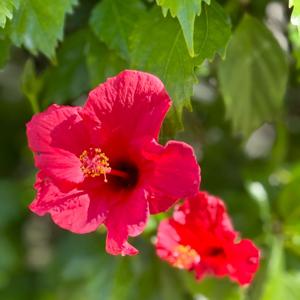 Pray Without Ceasing!