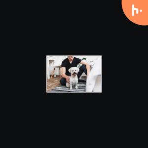 Reliable Pet Sitting Services in New Orleans