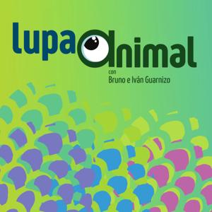 Lupa Animal