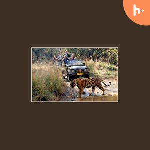 Top National Parks In Rajasthan