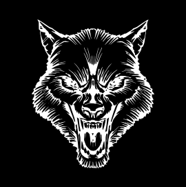 Bellum