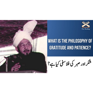 What is the philosophy of gratitude and patience?