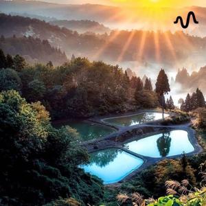 ほしのやミーティング