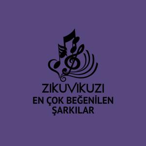 En Cok Begenilen 100 Sarki - Zikuvikuzi