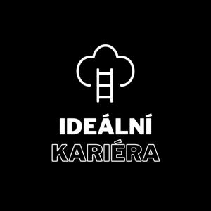 Ideální kariéra