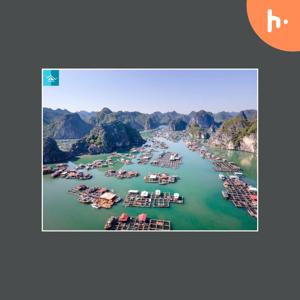 Discover the Wonders of Cat Ba Island