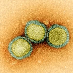The Zoonotic B-List