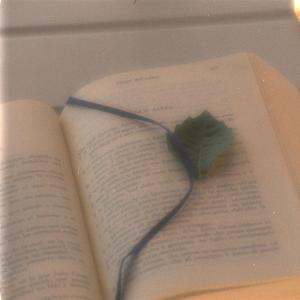 Letture e consigli di lettura