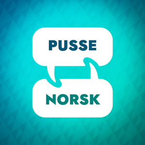 Polsk læringsakselerator