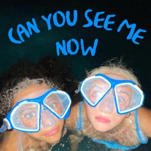 Can You See Me Now