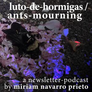 luto-de-hormigas/ants-mourning