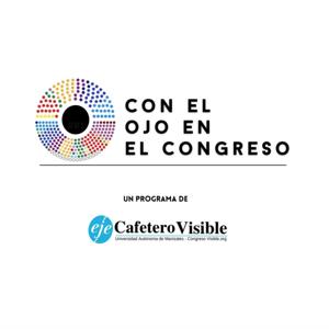 Con el Ojo en el Congreso