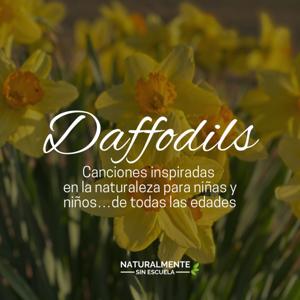 Daffodils