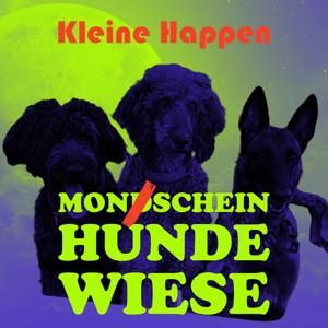 Monschein Hundewiese