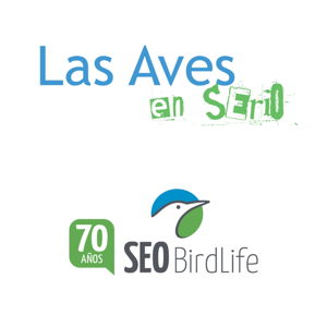 Las aves en serio