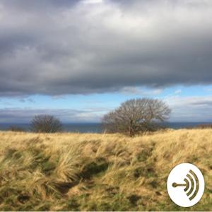 Mentally Tough Entrepreneurs