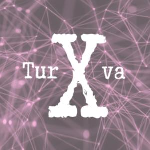 TurvaX -hanke