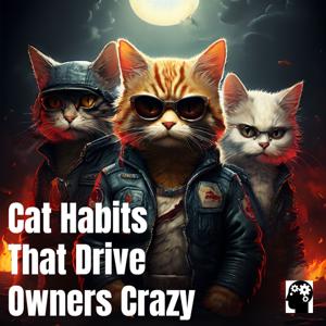 Managing Your Cat’s Worst Habits