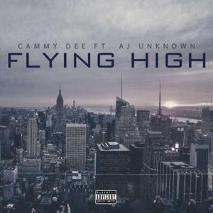 Flying High