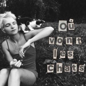 Où vont les chats