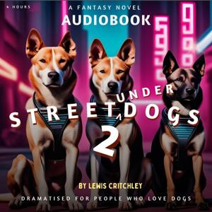 STREET UNDERDOGS 2