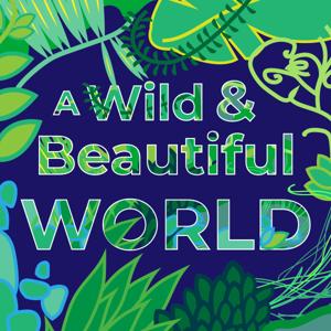 A Wild and Beautiful World