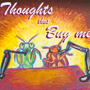 Thoughts That Bug Me