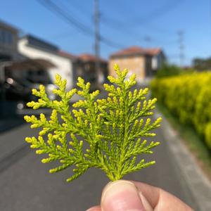 记录每一本值得记录的书