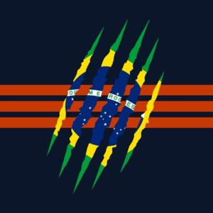 Bears Brazil Podcast