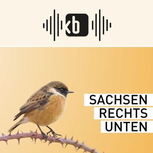 Sachsen rechts unten