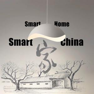 Smart Home, Smart China