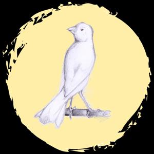 L'Arte del Sensibile