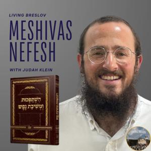 Sefer Meshivas Nefesh
