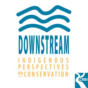 Downstream Podcast