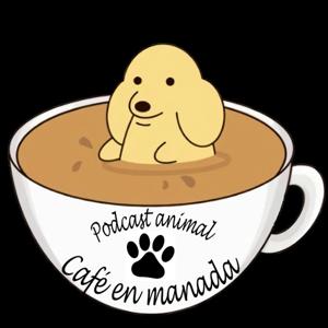 Café en manada