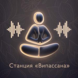 Станция «Випассана»
