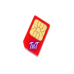 The Sim Scene