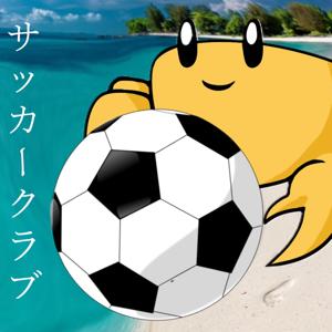 Soccer Crab